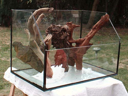 Bonsai-Aquarium mit Wurzeln